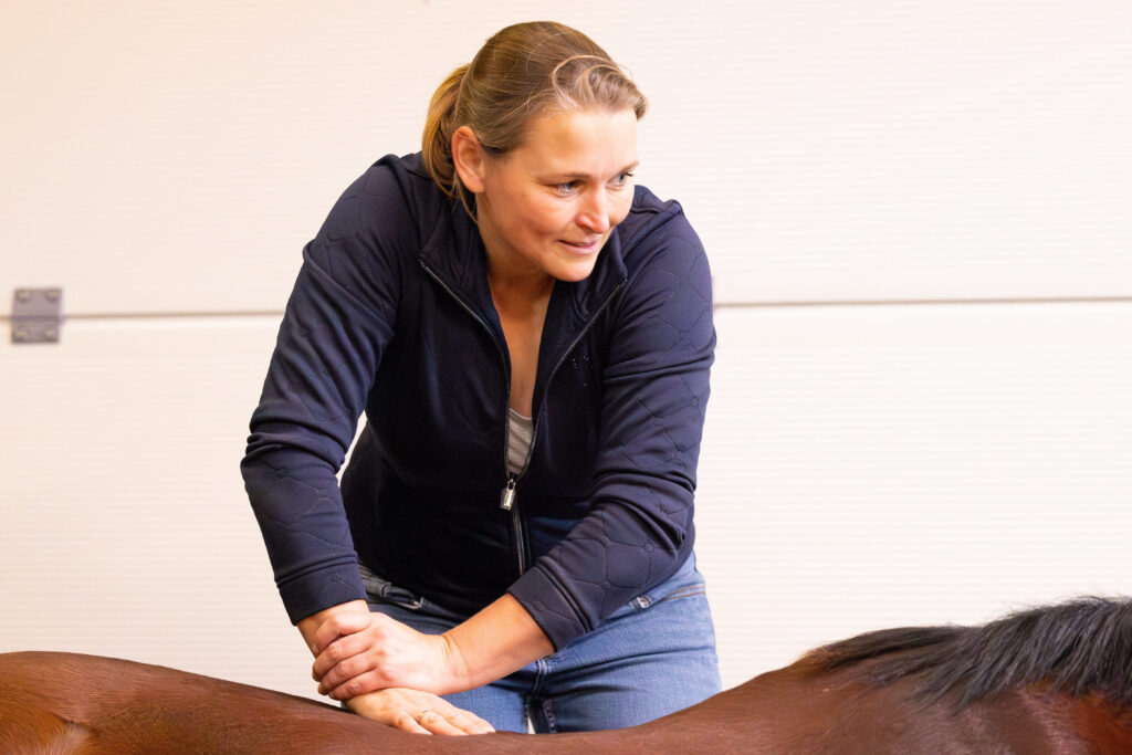 marleen den hartog rug Klinisch onderzoek rug bij kreupel paard dokkum dierenarts paard Paardenarts met focus op orthopedie hals rugproblemen en revalidatiebegeleiding