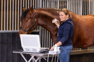 echo hals door marleen den hartog voor kreupel paard dokkum dierenarts paard Paardenarts met focus op orthopedie hals rugproblemen en revalidatiebegeleiding