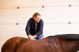 sportpaard begeleiding marleen den hartog dokkum chiropractie Paardenarts met focus op orthopedie hals rugproblemen en revalidatiebegeleiding om kreupelheid en blessures te voorkomen bij paarden kreupel paard