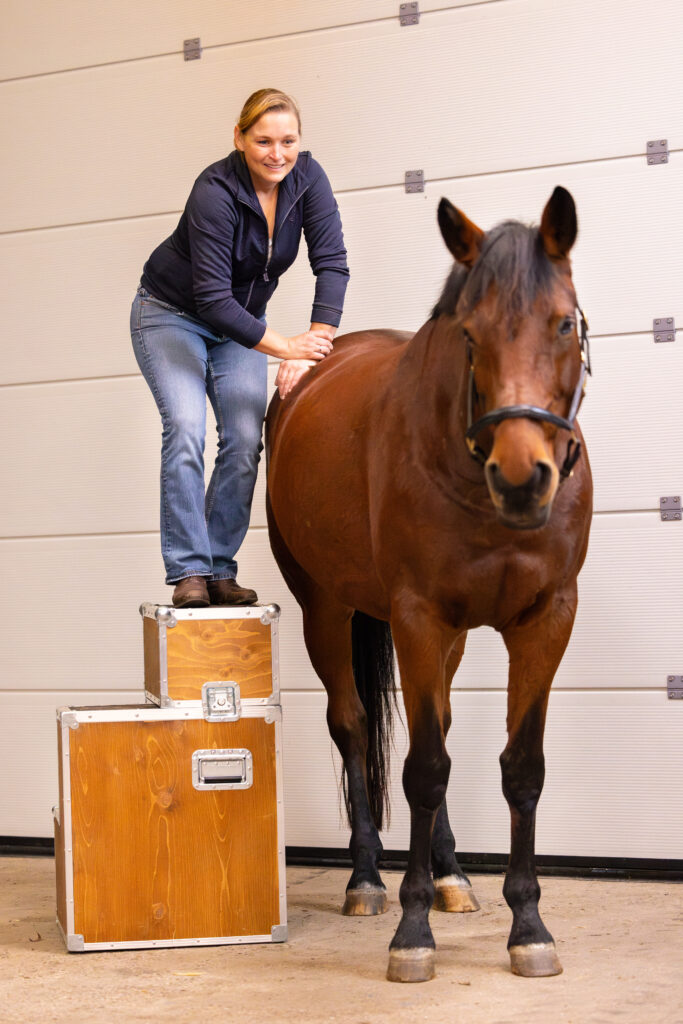 marleen14 sportpaard begeleiding chiropractie voeding paard blessure voorkomen kreupel paard Paardenarts met focus op orthopedie hals rugproblemen en revalidatiebegeleiding marleen den hartog dierenarts paard sportpaardbegeleiding blessures paard