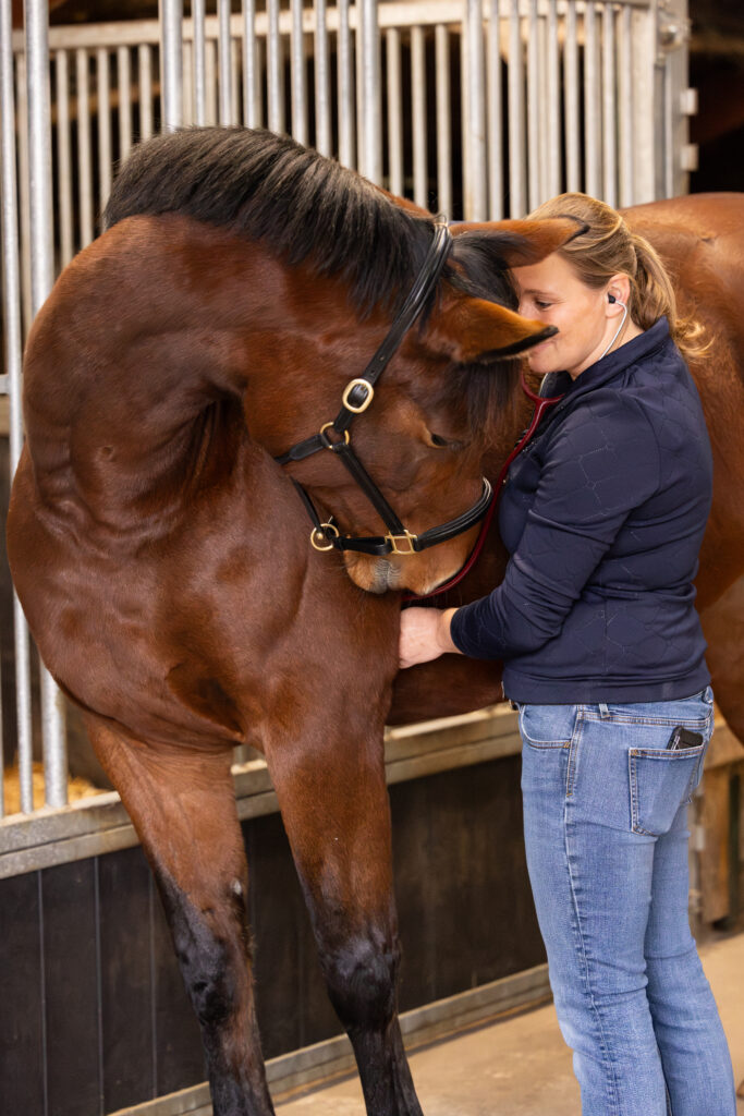 marleen4 aankoop keuring paard verkoop keuring paard klinische keuring beoordeling set rontgenfoto's Paardenarts met focus op orthopedie hals rugproblemen en revalidatiebegeleiding marleen den hartog dierenarts paard dokkum