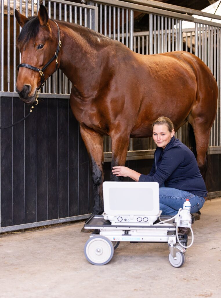 marleen echo been peesblessure echografie been paard pees peesblessure PRP IRAP Paardenarts met focus op orthopedie hals rugproblemen en revalidatiebegeleiding dierenarts dokkum marleen den hartog